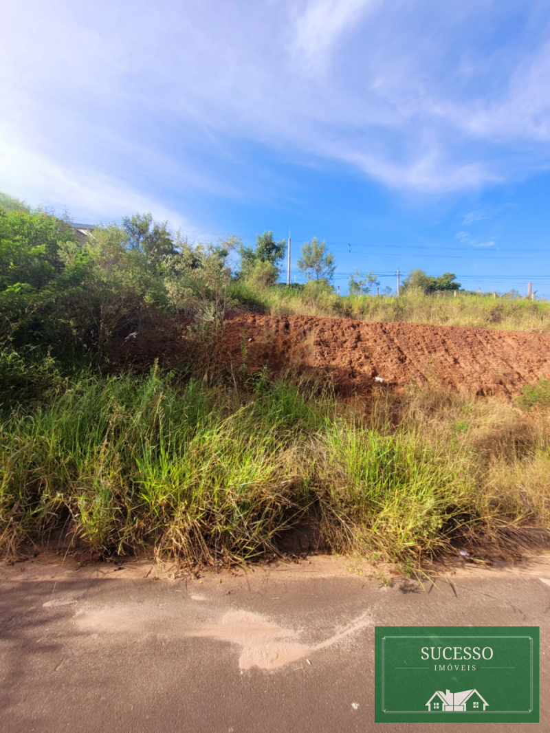 Terreno, 250 m² - Foto 4